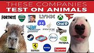 Companies That Test On Animals 😢