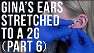Watch Gina Get Her Ears Stretched to a 2G (Part 6) | UrbanBodyJewelry.com