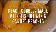 The Easiest Peach Cobbler Recipe