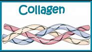 Collagen || Structure, classification, biosynthesis and clinical importance.