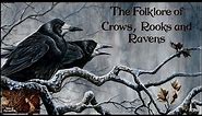 The Folklore of Crows, Rooks and Ravens , ASMR Bird Folklore and Mythology