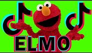 Elmo Tik Tok HILARIOUS Compilation