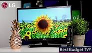 Best Budget TV? LG 22TN410V 22" LED TV (2020 Model) - Full HD IPS Display!