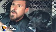 Watch This K9 Dog Help Her Dad At Work Every Single Day | The Dodo