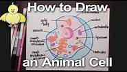 How to Draw an Animal Cell Diagram -Homework Help | DoodleDrawArt
