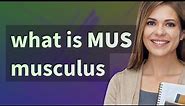 Mus musculus | meaning of Mus musculus