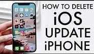 How To Delete iOS Updates On ANY iPhone! (2021)