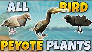 ALL BIRD PEYOTE PLANT LOCATIONS GTA 5 STORY MODE