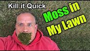 Get rid of Moss in Lawn - How To