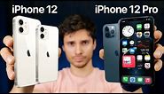 iPhone 12 vs iPhone 12 Pro/12 Pro Max! Which Should You Buy?