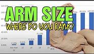Arm Size || Where Do You Rank? How Big Are Your Arms vs My Subscribers