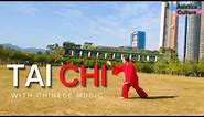 Perfect Tai Chi Wu Style 45 Form Demonstration for Beginners and Experts