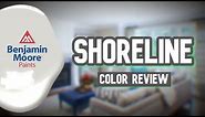Use THIS For Gray Walls | Shoreline by Benjamin Moore Review
