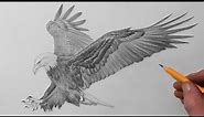 How to Draw a Bald Eagle | Pencil Drawing for Beginners