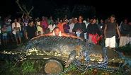 Lolong the World's Largest Crocodile found in the Philippines