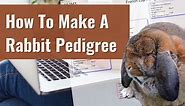 Rabbit Pedigree Form ≡ Fill Out Printable PDF Forms Online