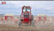 INTERNATIONAL 1566 Tractor Planting Corn