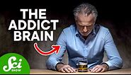 Why Our Brains Want to Be Addicted | The Chemistry of Addiction