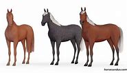 The 3 versions of Silver Horses: Silver black, Silver Bay, Silver Red