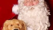 Is this the cutest family Christmas portrait EVER?!? 🐶🎅😆 #christmasportraits #cute #funnydogs | The Morning Show