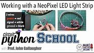 Working with a NeoPixel LED Light Strip
