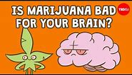 Is marijuana bad for your brain? - Anees Bahji