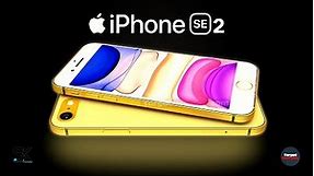 iPhone SE 2 (SE2) 2020: new design and leaks revealed