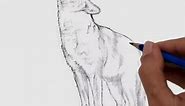 How to draw a howling wolf