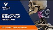 Spinal Motion Segment: C2-C5 Animation