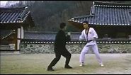 Jung Kook Hyun Taekwondo (From the movie Taekwon Fighters 1994 )