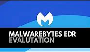 Malwarebytes EDR: Introduction