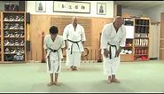 Kata in Okinawan Karate