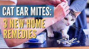Cat Ear Mites: 3 New Remedies