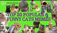 Top 20 Funny Cats Memes Green Screen Template