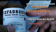 cefadroxil suspensi kering 125 mg, antibiotik