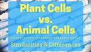 Plant Cells vs. Animal Cells (With Diagrams)