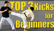 Top 3 Karate Kicks for Beginners! Tutorial and Techniques!