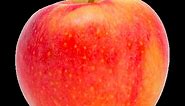 Sundowner (Cripps Red) Apple Review - Apple Rankings by The Appleist Brian Frange