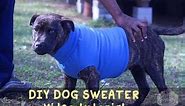 How to Make a Dog Sweater - DIY Tutorial