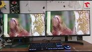 (monitor 22 inch vs 24 inch) 22MK600 vs 24MK600 Size Comparison