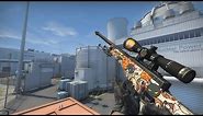 CS:GO - AWP PAW Gameplay