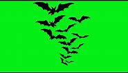 GREEN SCREEN flying bats animations effects no copyright bats | chroma key effects | Crazy Editor