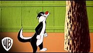 Looney Tunes | Pepe Le Pew Collection - Dog Pounded | Warner Bros. Entertainment