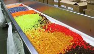 How Jelly Belly jelly beans are made