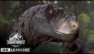 The Best Velociraptor Scenes in 4K HDR | Jurassic World