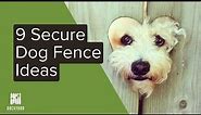 9 Dog Fence Ideas for Your Pups | Backyardscape