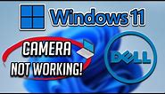 Dell Webcam Not Working in Windows 11 [2024 Tutorial]