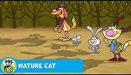 NATURE CAT | The Winter Solstice! | PBS KIDS