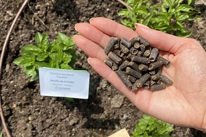 La Belle Bouse (de vache), des pellets d'engrais bios, locaux et sans odeur