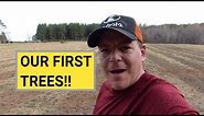 #35 Planting 600 Christmas Trees By Hand [OUR FIRST TREES] Woods Tree Farm
